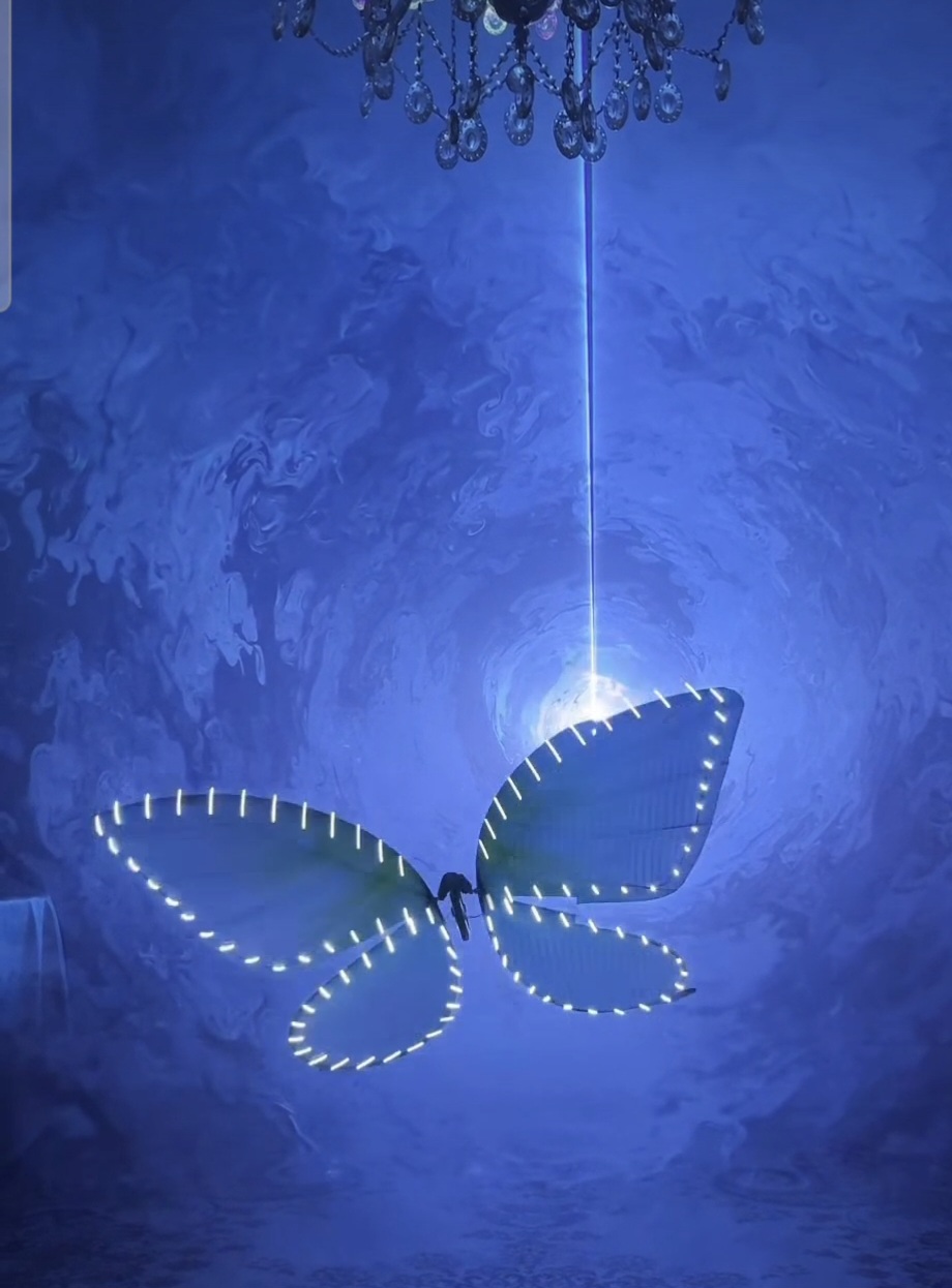 몽환적인 나비드론의 군무